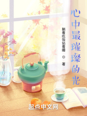 心中最璀璨的光在线阅读