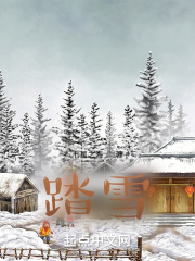 踏雪在线阅读