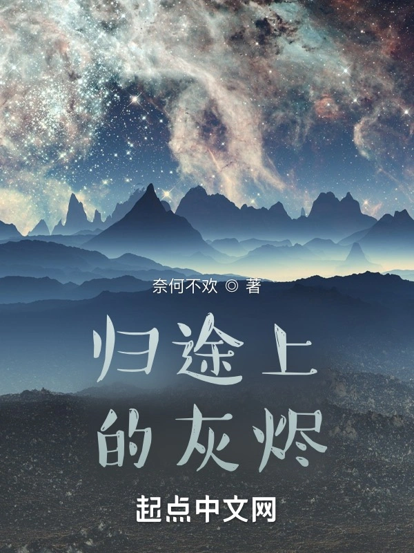归途上的灰烬