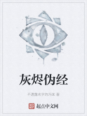 灰烬伪经在线阅读