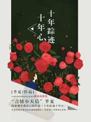 十年踪迹十年心在线阅读