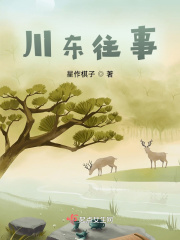 川东往事在线阅读