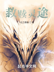 幻想之灵王纹章在线阅读