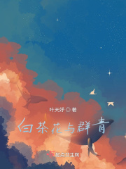 白茶花与群青