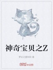 神奇宝贝之Z