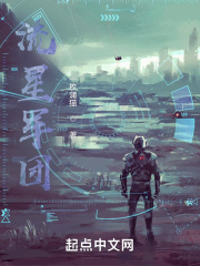 流星军团在线阅读