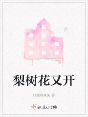 梨树花又开在线阅读