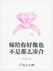 嫁给你好像也不是那么凑合在线阅读