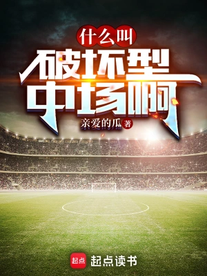 《什么叫破坏型中场啊》（校对全本）作者：亲爱的瓜【TXT】