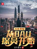 人在美综，从BAU探员开始封面