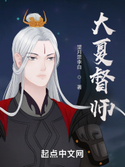 大夏督师在线阅读