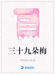 三十九朵梅在线阅读