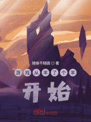 游戏从羊了个羊开始在线阅读