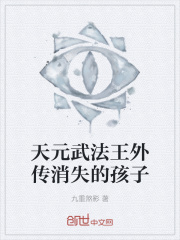 天元武法王外传消失的孩子在线阅读