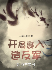 开局裹入造反军在线阅读