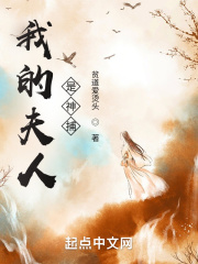 我的夫人是神捕在线阅读