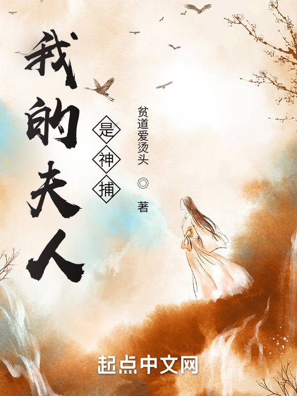 我的夫人是神捕在线阅读