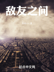 敌友之间在线阅读