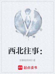 西北往事：在线阅读