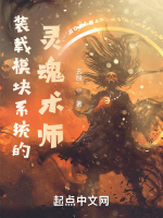 装载模块系统的灵魂术师在线阅读
