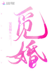 觅婚在线阅读
