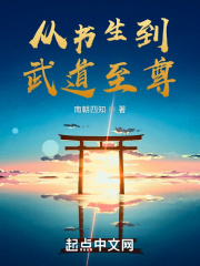 从书生到武道至尊在线阅读
