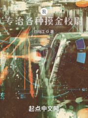 我，专治各种摸金校尉在线阅读