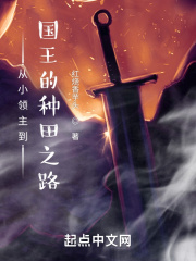 从小领主到国王的种田之路在线阅读