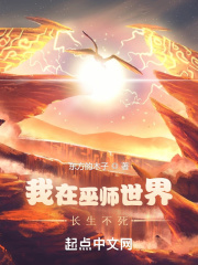 我在巫师世界长生不死在线阅读