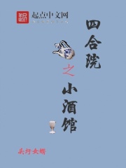 四合院之小酒馆在线阅读
