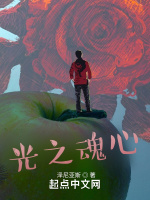 光之魂心最新章节在线阅读