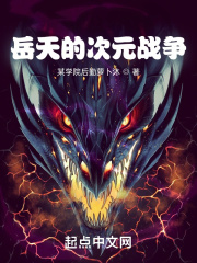岳天的次元战争