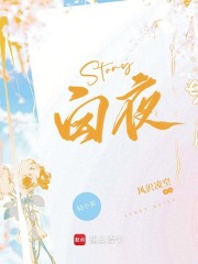 STORY：白夜在线阅读