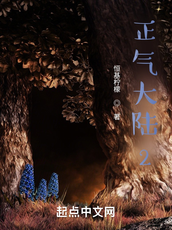 正气大陆！