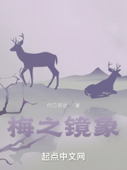 梅之镜象在线阅读