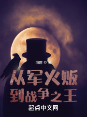 从军火贩到战争之王在线阅读