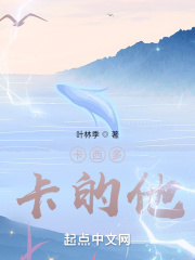 卡西多卡的他在线阅读