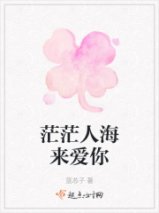 茫茫人海来爱你在线阅读