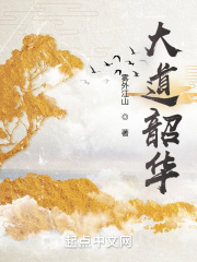 大道韶华在线阅读