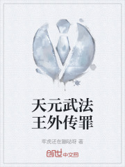 天元武法王外传罪