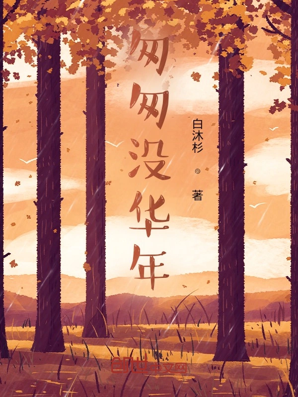 匆匆没华年