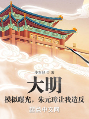 大明：模拟曝光，朱元璋让我造反在线阅读