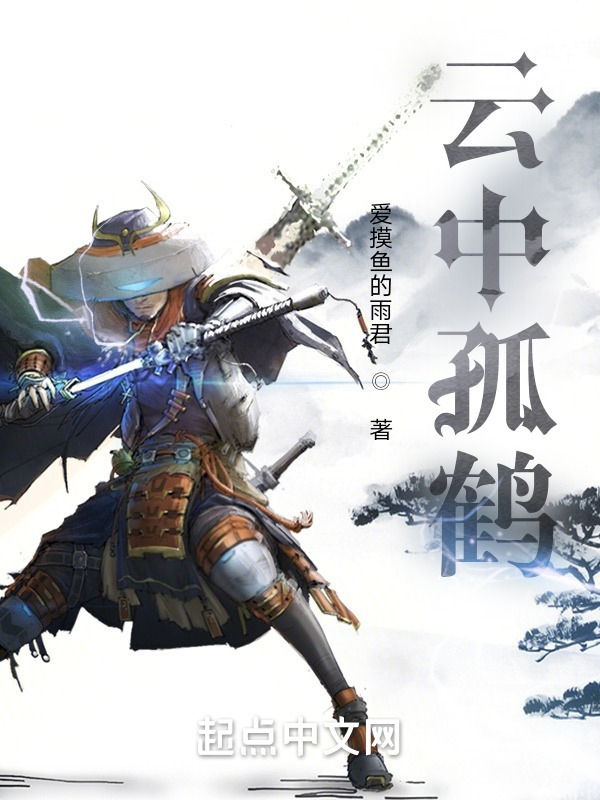云中孤鹤