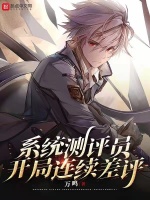 系统测评员，开局连续差评封面