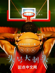 NBA头号大刺头在线阅读
