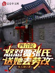 四合院：怒怼贾张氏，送她去劳改在线阅读