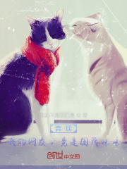 奔现：我的网友，竟是国民妹妹在线阅读