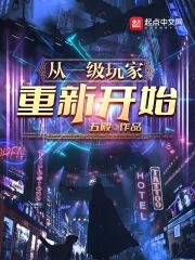 从一级玩家，重新开始在线阅读