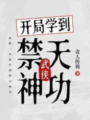 武侠：开局学到禁天神功在线阅读