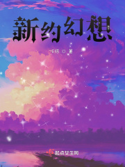 新约幻想在线阅读